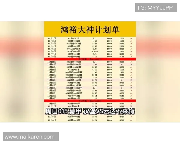 汉堡与不莱梅对决分析：战术布局与球员表现的全面解读